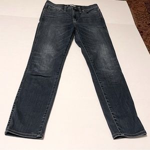 Madewell Womens 10" High Rise Skinny SZ 27 Blue Denim Jeans Stretch Five Pockets